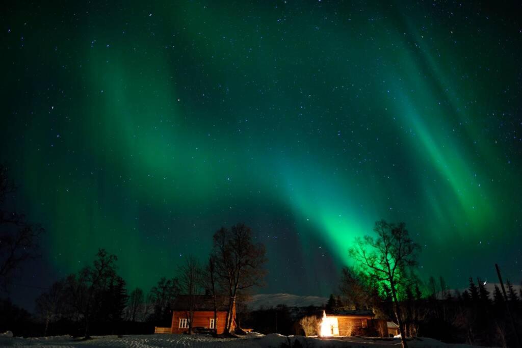 Вилла 100 Years Old Norwegian Log House In Тромсё Экстерьер фото
