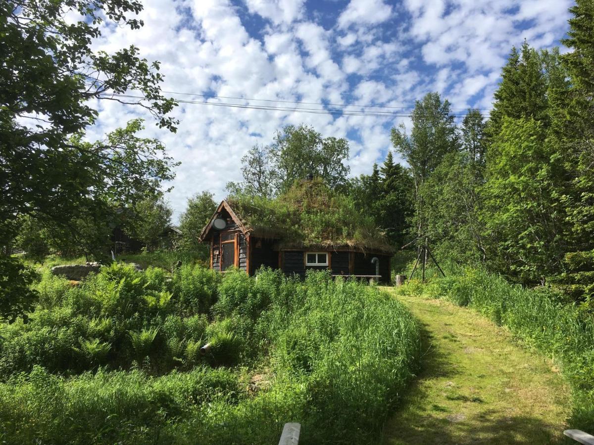 Вилла 100 Years Old Norwegian Log House In Тромсё Экстерьер фото
