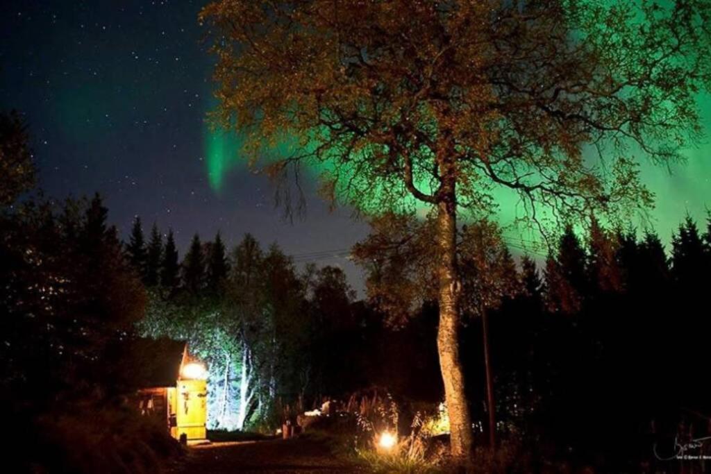 Вилла 100 Years Old Norwegian Log House In Тромсё Экстерьер фото