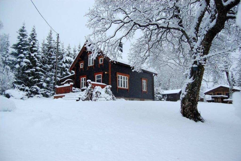 Вилла 100 Years Old Norwegian Log House In Тромсё Экстерьер фото