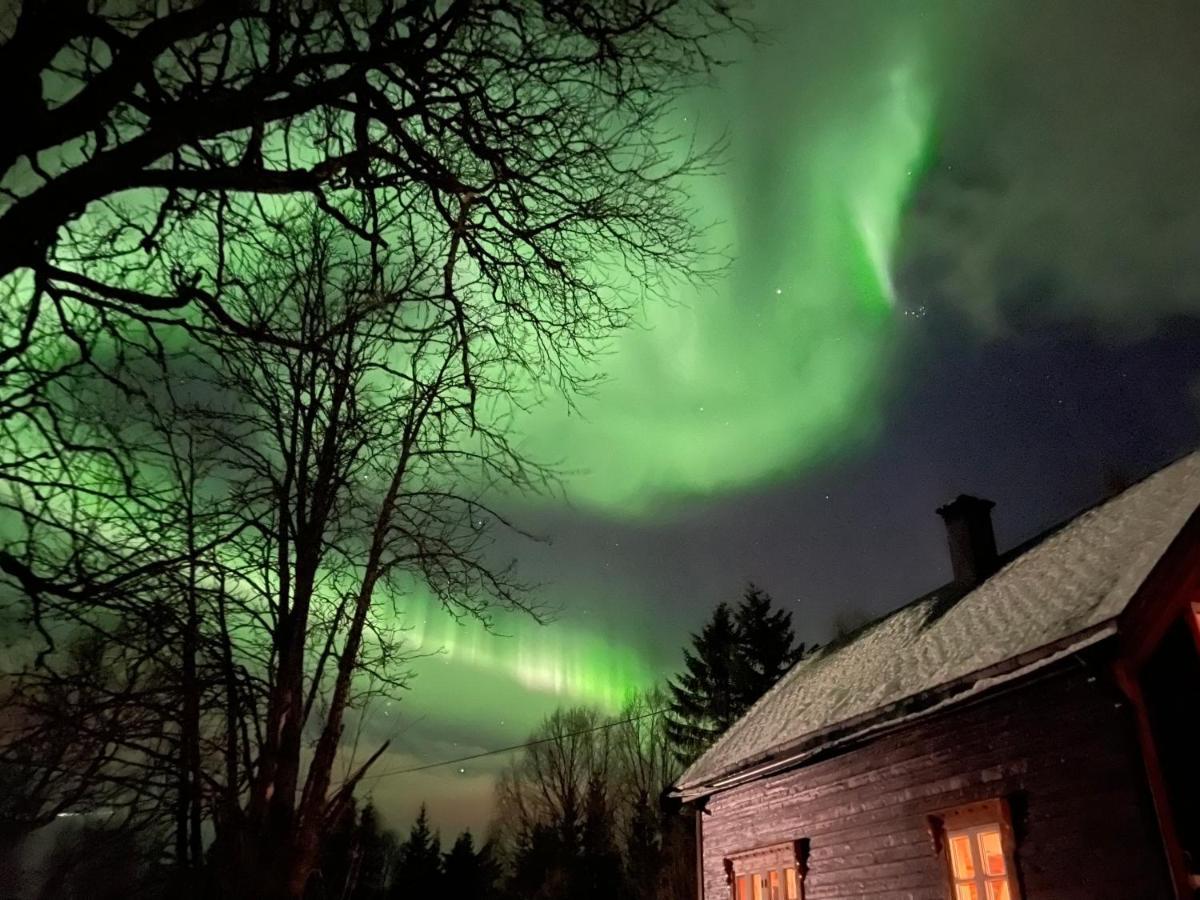 Вилла 100 Years Old Norwegian Log House In Тромсё Экстерьер фото